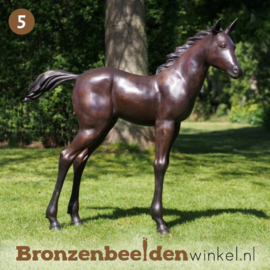 NR 5 | Bronzen paard ''Veulentje voor in de tuin'' BBW61081