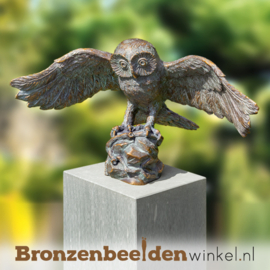 Tuinbeeld uil met gespreide vleugels BBW37322
