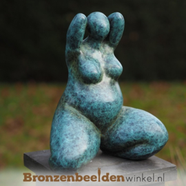 NR 9 | Afscheidscadeau collega vrouw ''Dikke Dame'' BBW2341br