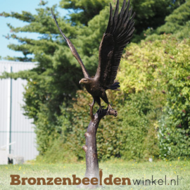 Beeld vliegende zeearend in brons BBW1338br