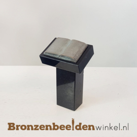 Beeld met boek BBW11111