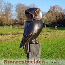 Vogel tuinbeeld uil op sokkel BBW37234