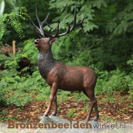 Bronzen hert voor in de tuin BBW955