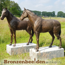 Twee bronzen paarden beelden BBW1309
