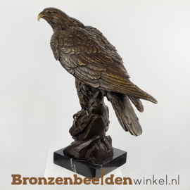Bronzen adelaar beeld BBW00YYbr17
