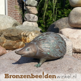 Bronzen egel beeld BBW37043