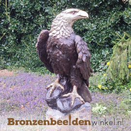 Bronzen Amerikaanse zeearend op rots BBW55956