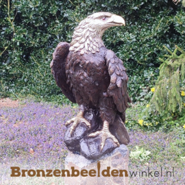 Bronzen witkop adelaar tuinbeeld BBW55956