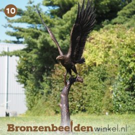 NR 10 | Cadeau vogelliefhebber ''vliegende adelaar in brons'' BBW1338br