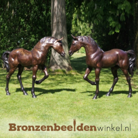 Twee bronzen paarden beelden BBW61041