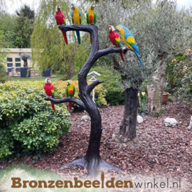 Bronzen papegaaien beeld BBW57884br