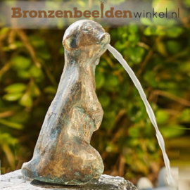 Kleine waterornamentjes drie stokstaartjes