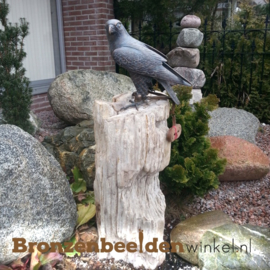 Bronzen beeld valk BBW78100