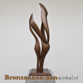 Modern beeld voor binnen "Verbondenheid" BBW2941br
