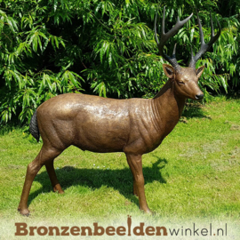 NR 1 | Cadeau man 56 jaar ''Bronzen beeld hert mannelijk'' BBW971