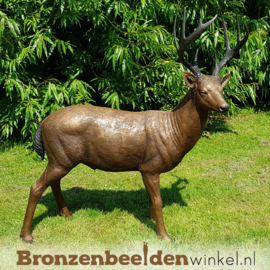 Bronzen beeld hert mannelijk BBW971