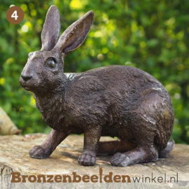 NR 4 | Kado voor jager ''Bronzen beeld konijn'' BBW9824br