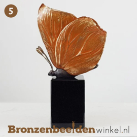 NR 5 | Vlinder cadeau ''vlinder op sokkel'' BBW85524