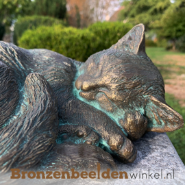 Bronzen slapende kat beeld BBWR89020