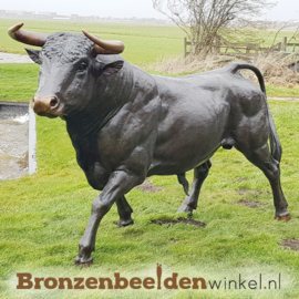 Levensgrote stier beeld BBW76345