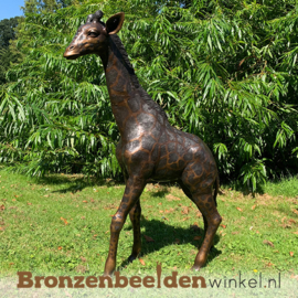 Bronzen baby giraffe beeld BBWB860-1