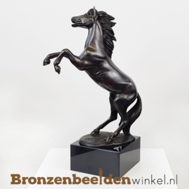 NR 4 | Cadeau man 52 jaar ''Steigerend paardenbeeldje'' BBW1100br