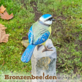 Bronzen pimpelmees vogel BBWF6530fa03