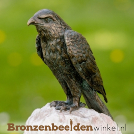 Bronzen rode wouw havik beeld BBWR88776