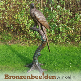 Bronzen beeld papegaai BBW1147