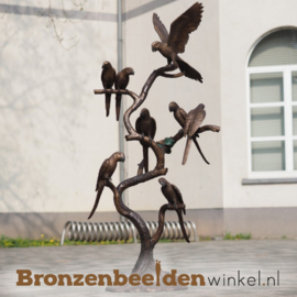 Beeld papegaaien voor in de tuin BBW1486br