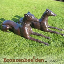 Twee Doberman Pinscher hondenbeelden BBW538