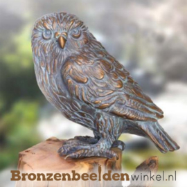 Beeld uil van brons BBW37235