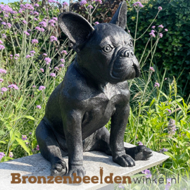 Hond beeld Franse Buldog in brons BBW1412br
