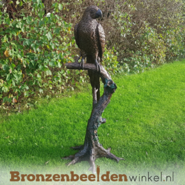 Bronzen beeld papegaai BBW1147