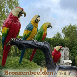 Bronzen papegaaien beeld BBW57884br