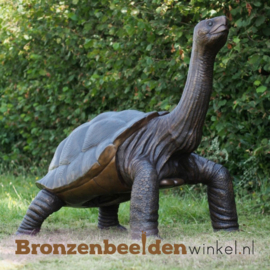 Beeld slangenhalsschildpad BBW1485br
