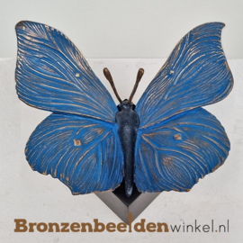 Asbeeldje vlinder in kleur BBW85525