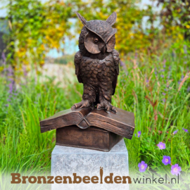 Beeld uil op boek in brons BBW94533br