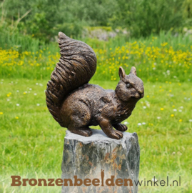 Bronzen eekhoorn beeld BBWAN2206BR