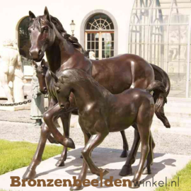 Beeld paard met veulen BBW1001