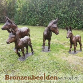 Ezel tuinbeelden in brons BBW61192