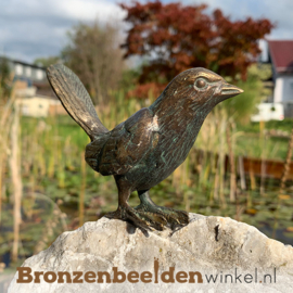 Bronzen vogeltje BBWR90133