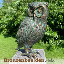 NR 2 | Bronzen beeld Nijmegen ''Beeld uil brons - steenuil'' BBWR89002