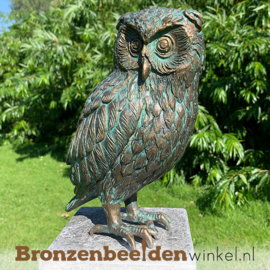 NR 2 | Cadeau man 70 jaar ''Beeld uil brons - steenuil'' BBWR89002