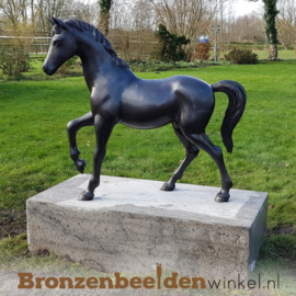 Bronzen tuinbeeld paard BBW1199