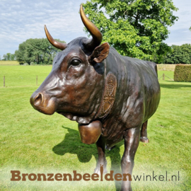 Groot koeien beeld in brons BBW47346