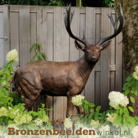 Bronzen hert beeld groot BBW837