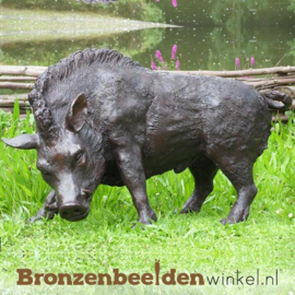 Tuinbeeld zwijn brons BBW56172