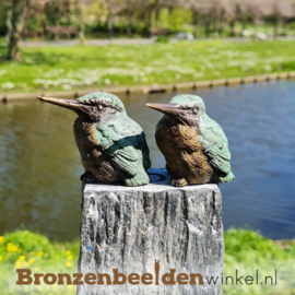 Ijsvogel cadeau ''ijsvogeltjes op sokkels'' BBW88322-2ls