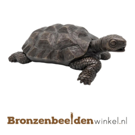 Bronzen schildpad beeld BBW1158br